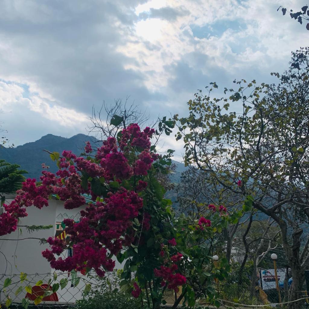 The Roxxy Royal Resort Rishīkesh Buitenkant foto